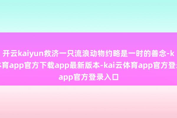 开云kaiyun救济一只流浪动物约略是一时的善念-kai云体育app官方下载app最新版本-kai云体育app官方登录入口