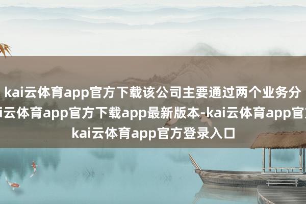 kai云体育app官方下载该公司主要通过两个业务分部运营-kai云体育app官方下载app最新版本-kai云体育app官方登录入口