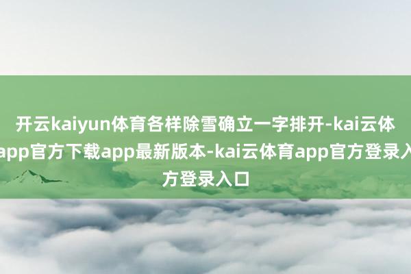 开云kaiyun体育各样除雪确立一字排开-kai云体育app官方下载app最新版本-kai云体育app官方登录入口